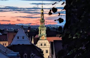 Ferienwohnung "Spatzennest" - Foto 35