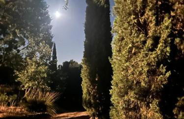 Deliziosa casa sull albero a 30 minuti da Roma - Foto 21