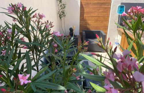 La Salamandre de l Olivier - Le Magnolia - Foto 24