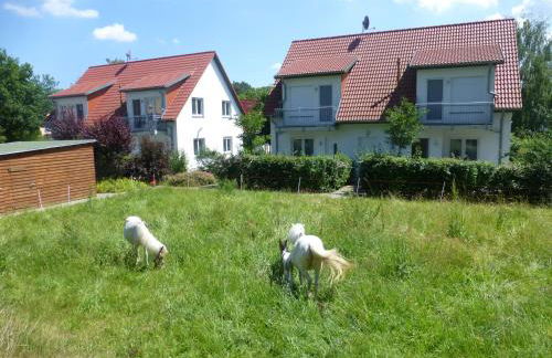 Alter Schulgarten - Foto 23