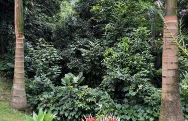 Paraíso do Sana - Photo 15