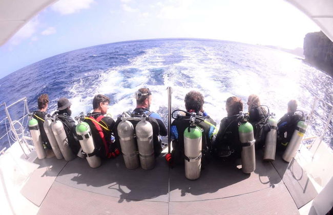 Immersione a Fernando de Noronha - Foto 2