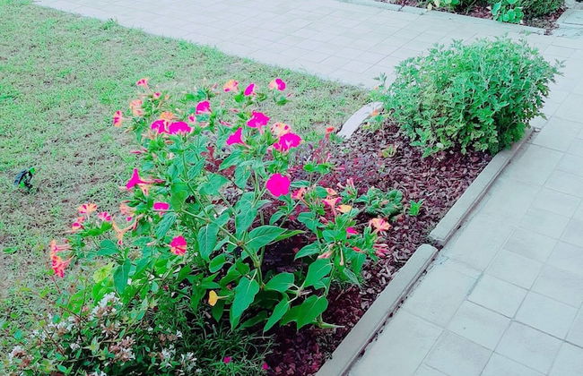 Casa Romy in Cigole - Available Wifi - Foto 25