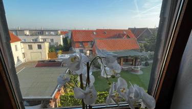 Suite 3 SZ - Lichtenberg - Foto 2