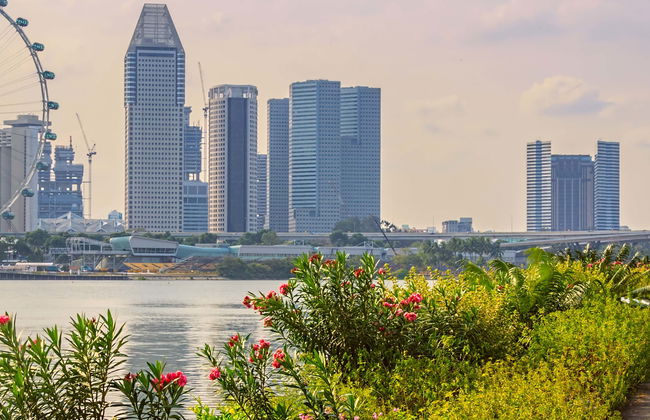 Singapore Private Tour - Photo 8