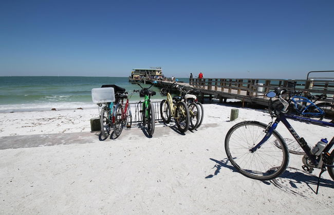 Runaway Tropical Waves-pet Friendly - Foto 65