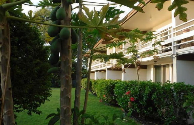 Kona White Sands A4 Romantic Ocean View! - Foto 16