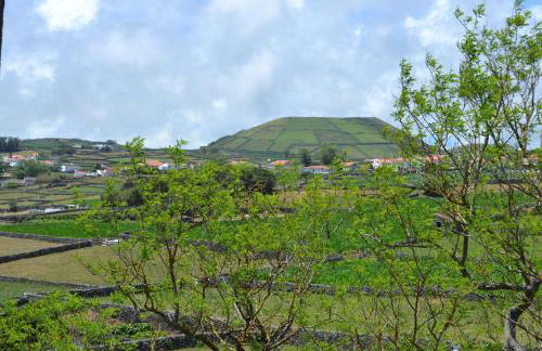 Cantinho da Bela Vista - Photo 14