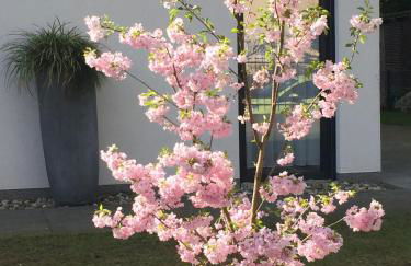 Lakeview Appartements - Foto 9