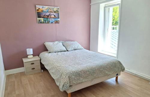 La Maison Douessine - Hyper Centre Doué La Fontaine - WIFI gratuit -Proche Bioparc Zoo - Photo 7