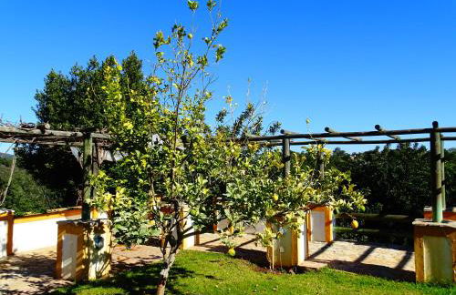 Quinta do Julião - Foto 9