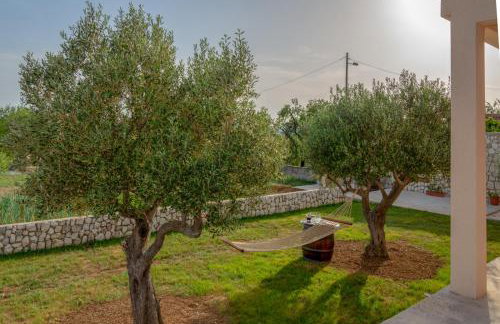 Apartments Vesna - Photo 16