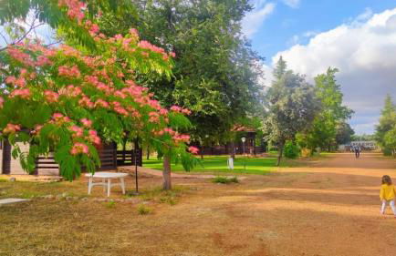 Casas Rurales Tabla Honda - Foto 20