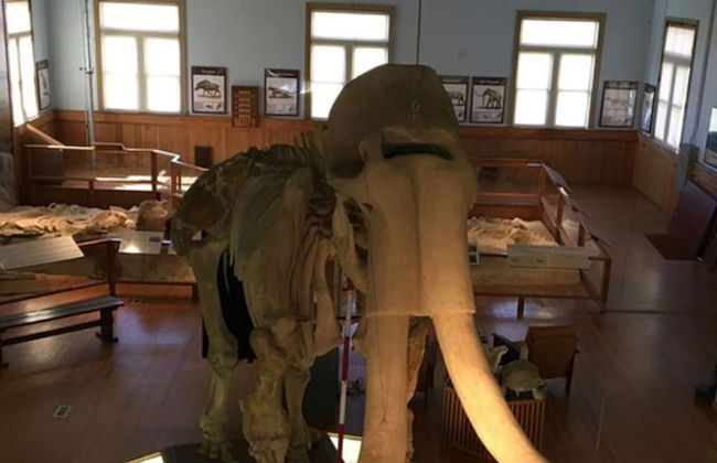 Jacuzzi - West Point - Family Friendly - Photo 63