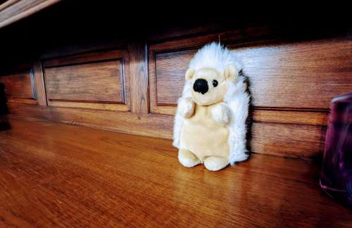 Charmant gîte avec terrasse, poêle à bois et parking privé près de la Creuse et d'Argenton-sur-Creuse - FR-1-591-564 - Foto 19