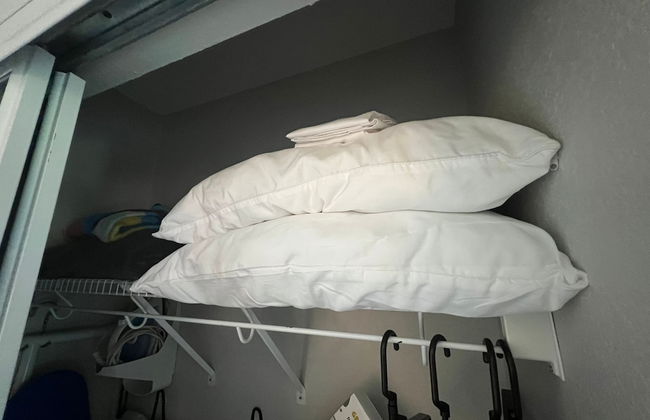 Free Parking Disney Shuttle - Foto 30