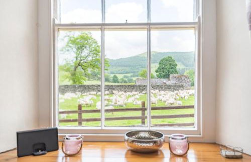 Waedog Bach - Foto 10