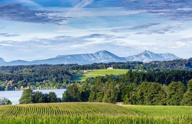 Eco-friendly Chalet Near the Lake in Asten - Photo 65