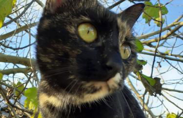 Le Clos Doux - Foto 29