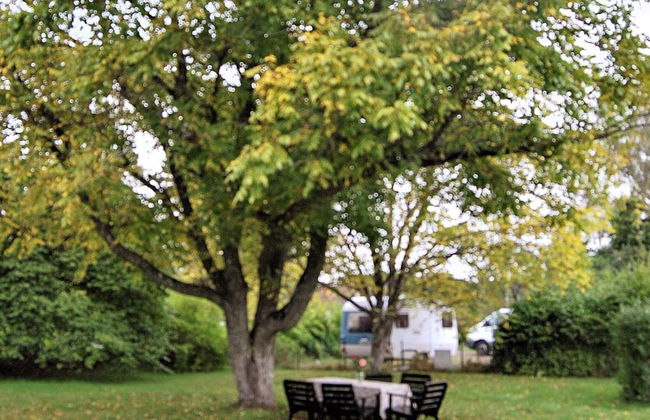 4 Person Holiday Home in Veberod-by Traum - Foto 15