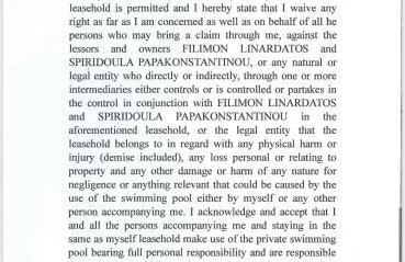 VL Luxury Villa - Photo 48