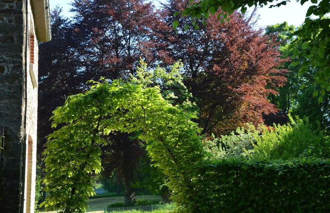 Castle in Roumont With Garden - Foto 21