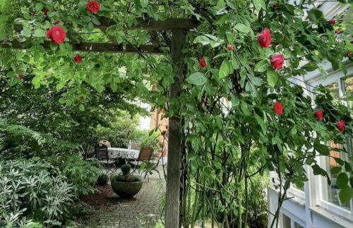 Bernhardsberg - Foto 40