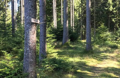 Ferien-Apartment im Genusshotel Hirschen (Südschwarzwald) - Foto 30