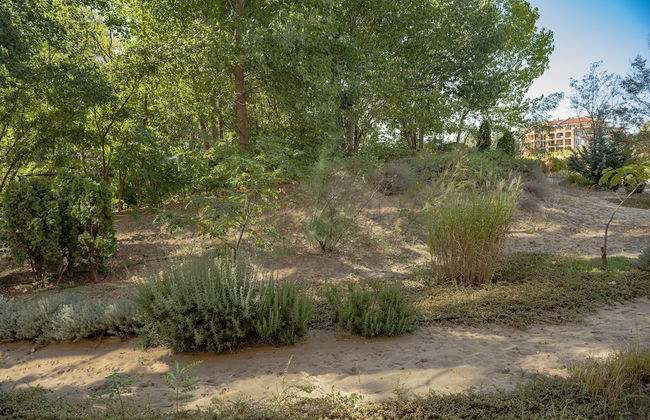 Menada Dune Residence Apartments - Foto 32