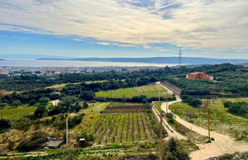 Villa Bepina, surrounded by sea, olive, vineyard - Photo 50