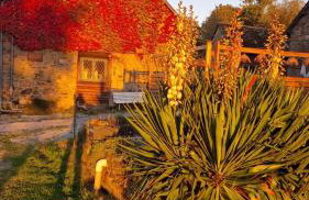Magnifique Maison Bretonne - Gîte Ar Baradoz - Photo 4