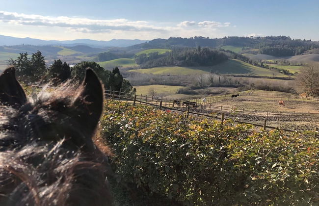 Tenuta I Mandorli - Foto 34