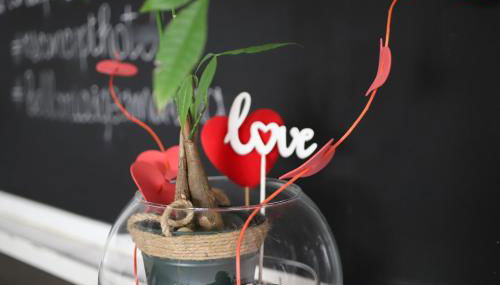 Residence & Suites - Foto 4