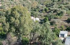 LOFT RURAL MOLINILLO - Foto 9