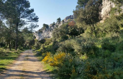 L'Orgalière Alpilles - Foto 39