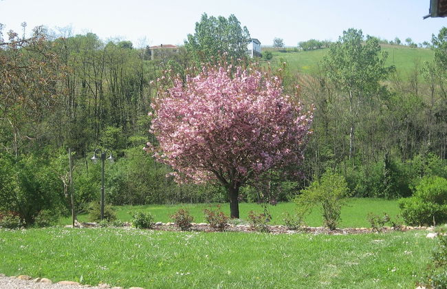 Agriturismo Cascina Tollu - Foto 32