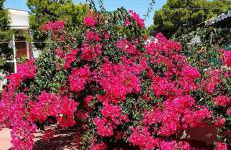 La nostra villetta - Foto 7