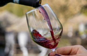 Agriturismo La Collina - Foto 59