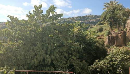 Casa Bela Vista Studio 2 - Photo 5