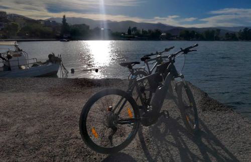 Apartments Jasu - Photo 72