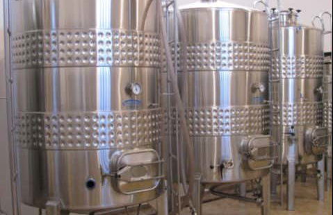 Visita alla cantina Vinícola Araucária - Foto 5