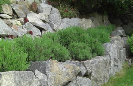 WEITBLICK "entspannen - wohlfühlen - aktiv erholen" - Foto 28