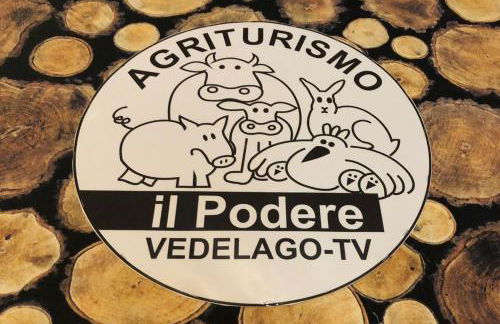 Agriturismo il Podere Vedelago con San Bernardo, Alpaca e una Pentola di cose da scoprire - Foto 24