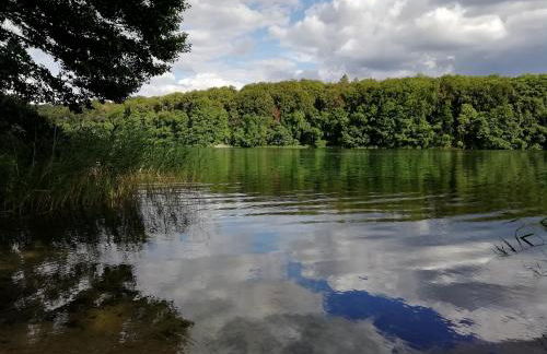 Am Froschteich - Foto 27