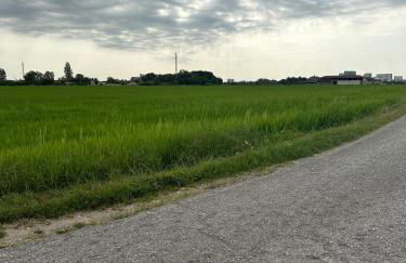 Appartamento con Terrazzo - Foto 18