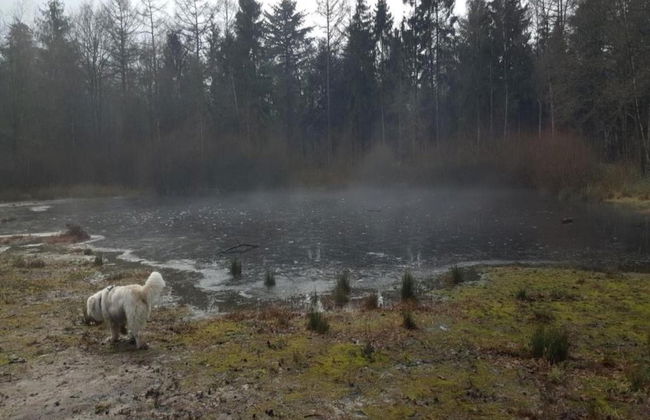 Cottage Near Bourtange With Hot Tub - Foto 37