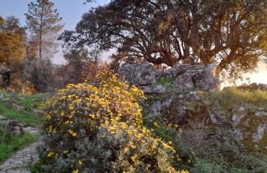 Olive -Casa da Boavista - Foto 26