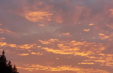 Lüch da Börz - Foto 10