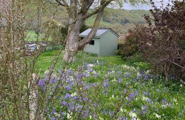 The Drumlins Cottage - Foto 11