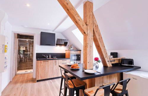 Appartements Les Vosges - Foto 23